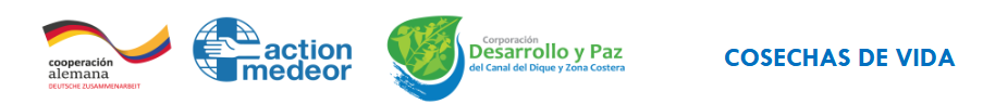 Partenaires du projet : Cooperación Alemana (coopération allemande), Action Medeor, Corporación Desarrollo y Paz del Canal del Dique y Zona Costera, Cosechas de Vida